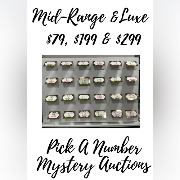 VARIOUS Handbags - Mid-Range & Luxe Mystery Auctions
